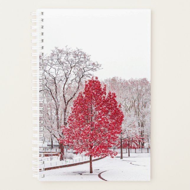Agenda navidades de invierno 89 (Anverso)