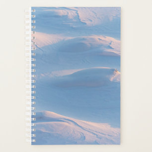 Agenda navidades de invierno 98