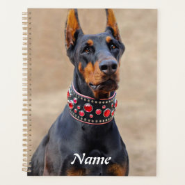 Agenda Negro y Tan Doberman Pinscher en cuello de joyas