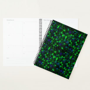 Agenda Neuron City Planner