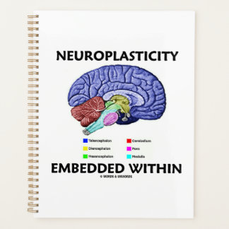 Agenda Neuroplasticidad incorporada en la anatomía cerebr