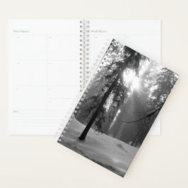 Agenda Nieve de invierno en el Parque Nacional del Cañón