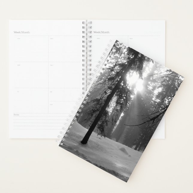 Agenda Nieve de invierno en el Parque Nacional del Cañón  (Demostración)