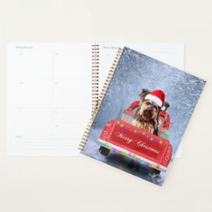 Agenda Nieve de perro de Yorkshire, sentada en Navidades