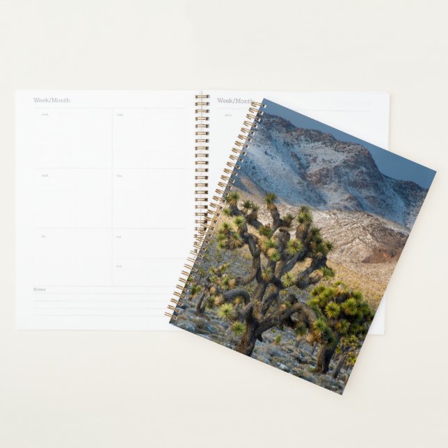 Agenda Nieve En El Valle De La Muerte (Demostración)