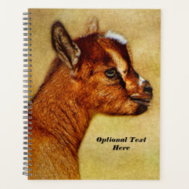 Agenda Nigeriana personalizada Dwarf Dairy Goat Kid