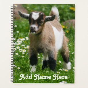 Agenda Niño de cabra enana pigmeo personalizado