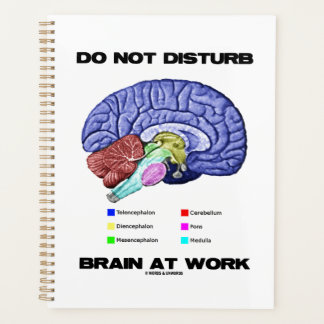 Agenda No Perturbar El Cerebro En El Trabajo Consejo Anat