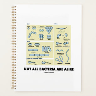 Agenda No Todas Las Bacterias Son Como La Morfología Bact