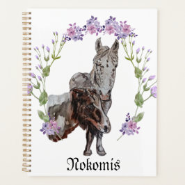 Agenda Nokomis