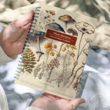 Nombre y asunto de la naturaleza de los hongos de 