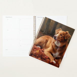 Agenda Nueva Escocia Duck Terrier En Otoño Cae La Izquier