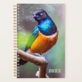 Agenda Observador de pájaros Naranja azul Green Starling 