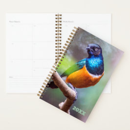 Agenda Observador de pájaros Naranja azul Green Starling