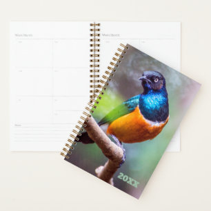 Agenda Observador de pájaros Naranja azul Green Starling 