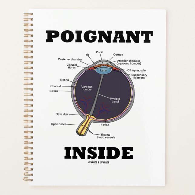 Agenda Ojo conmovedor (I) Dentro del éisbol anatómico (Anverso)