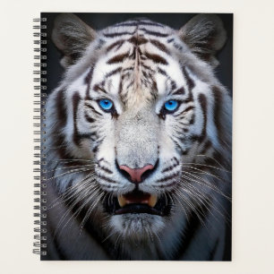 Agenda Ojos azules del tigre blanco