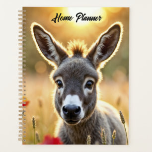 Agenda Ojos curiosos en el campo, arte pacífico