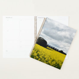 Agenda Olas Doradas de Streatham