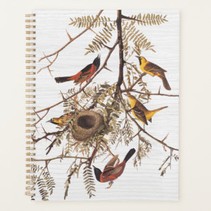 Agenda Oriole huerto audubón en langosta de miel