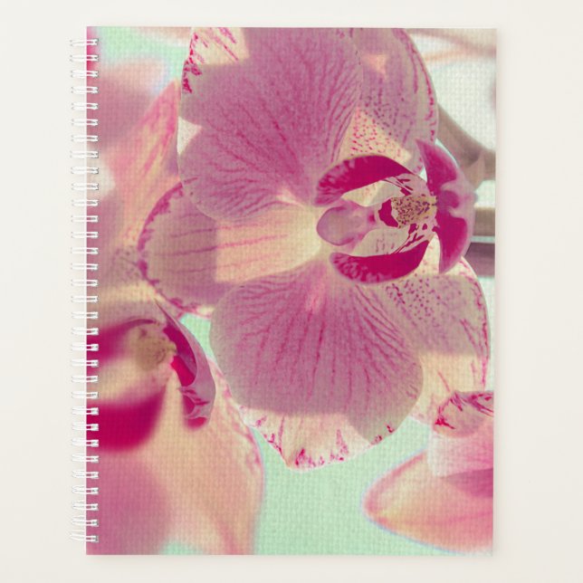 Agenda Orquídea rosa (Anverso)