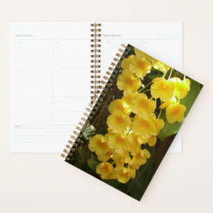 Agenda Orquídeas Amarillas colgando flores tropicales