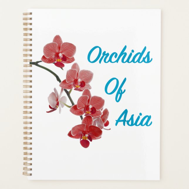 Agenda Orquídeas de Asia Spa de Día (Anverso)