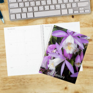 Agenda Orquídeas Florales de Ventana Pleione