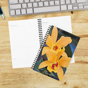 Agenda Orquídeas Florales Laeliocattleya Naranja