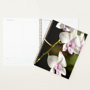 Agenda Orquídeas rosadas blancas de Kauai (foto tomada po
