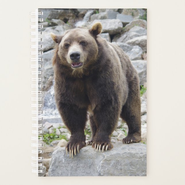 Agenda Oso Kodiak (Anverso)