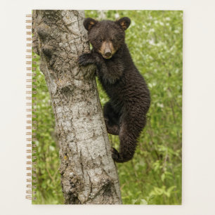 Agenda Oso Negro Cachorro en Árbol