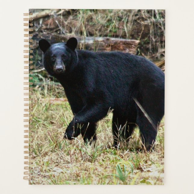 Agenda Oso Negro de Florida (Anverso)