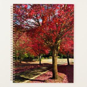 Agenda Otoño en el barrio de Oregón
