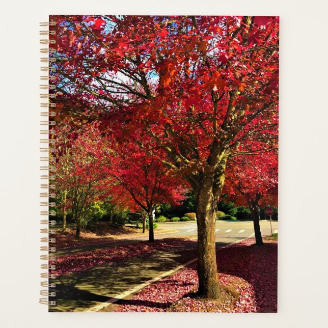 Agenda Otoño en el barrio de Oregón (Anverso)