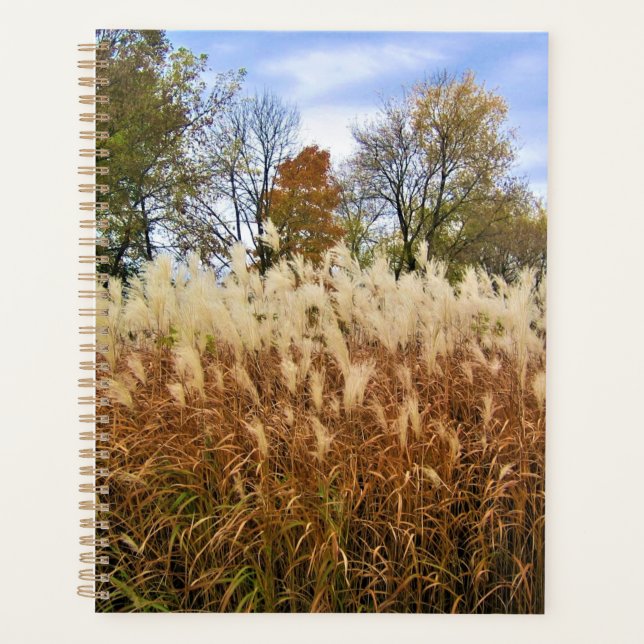 Agenda Otoño en Wisconsin (Anverso)