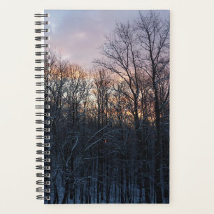 Agenda Paisaje de la Naturaleza del Sol Invierno I Pastel