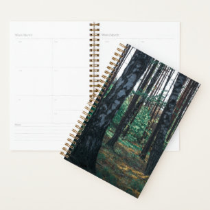 Agenda Paisaje de los árboles de aves silvestres naturale