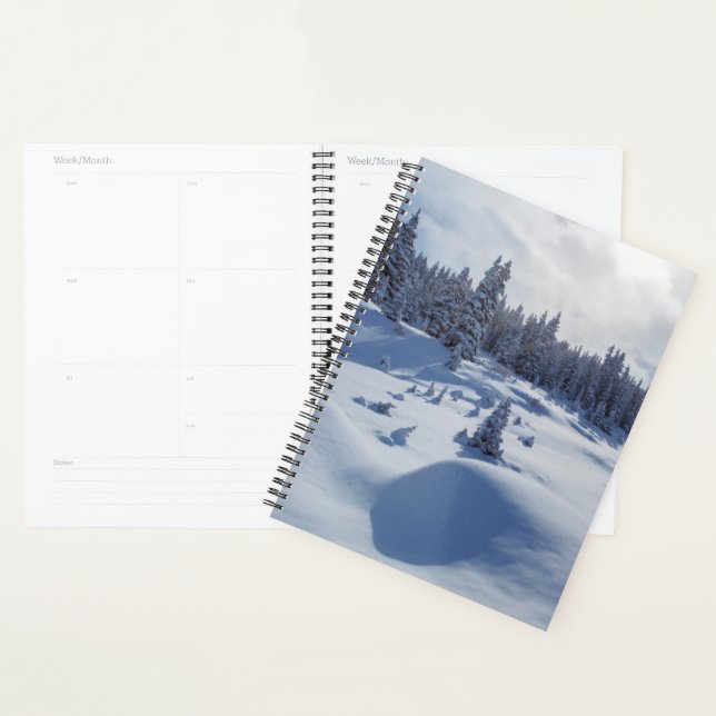 Agenda Paisaje de nieve (Demostración)