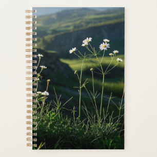 Agenda Paisaje natural de la margarita blanca floral