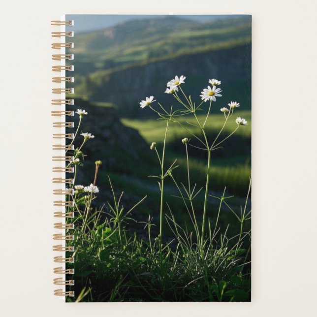Agenda Paisaje natural de la margarita blanca floral (Anverso)