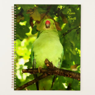 Agenda Pájaro verde 