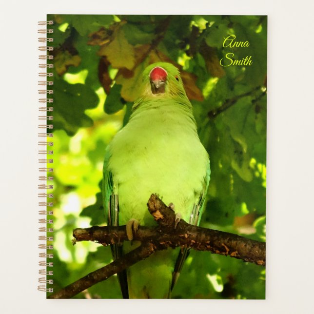 Agenda Pájaro verde  (Anverso)