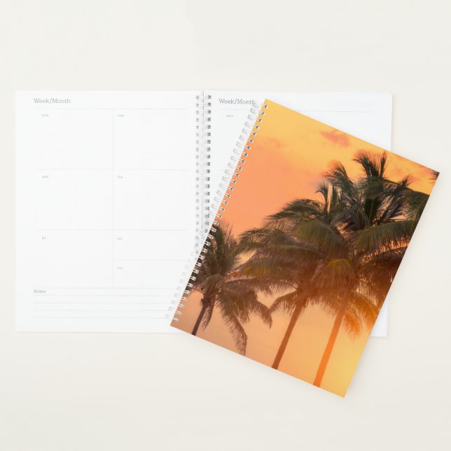 Agenda Palmeras de Miami (Demostración)