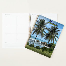 Agenda Palmeras de playa de Barbados