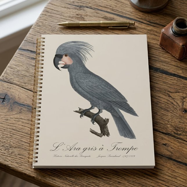Agenda Paloma negra, Probosciger aterrimus (Great Black Palm Cockatoo, Probosciger aterrimus. Planner)