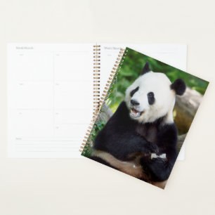 Agenda Panda gigante comiendo bambú