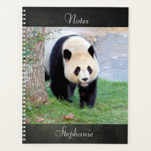 Agenda Panda gigante de la fotografía portátil, animales 