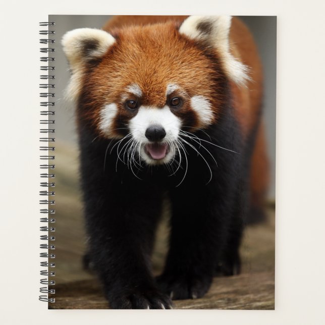 Agenda Panda rojo (Anverso)