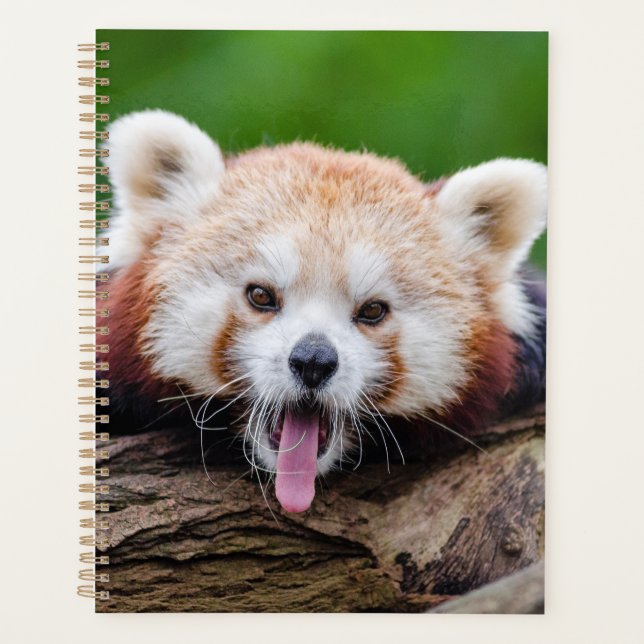 Agenda Panda rojo (Anverso)